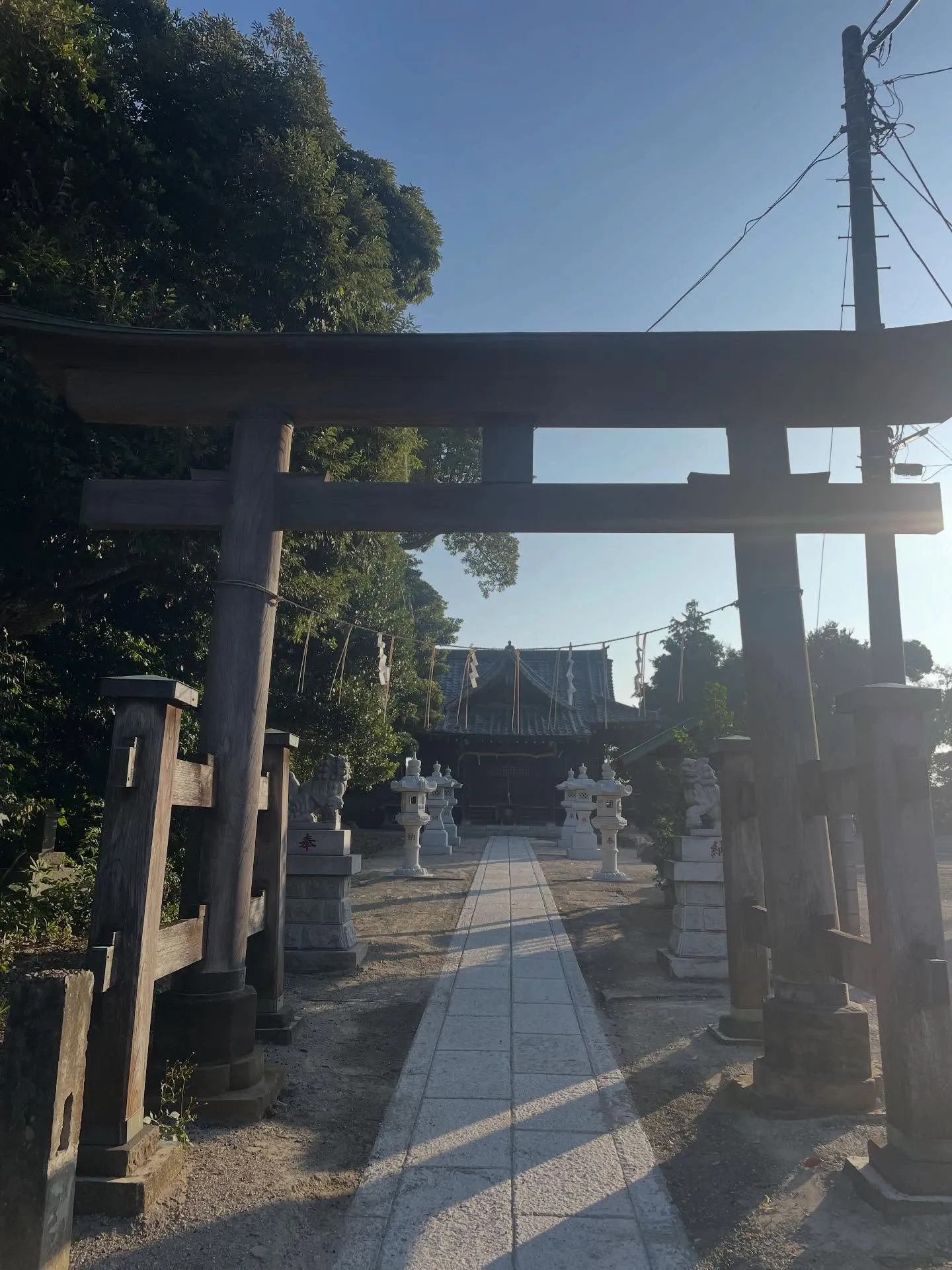 新しい月の始まり、5月もスタートしましたね!🌸